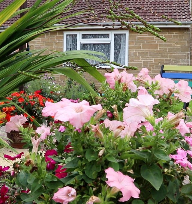 Communal gardens